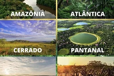 Biomas jigsaw puzzle