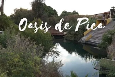 פאזל של oasis pica