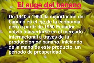 Auge Bananero
