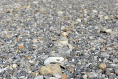 Galets au bord de la Manche