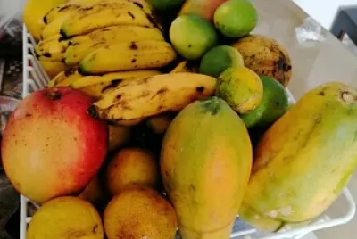 papayas