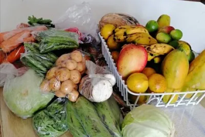 verduras