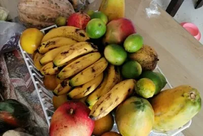 frutas
