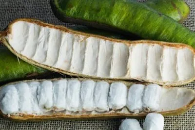 frutas regionais