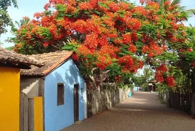 פאזל של vila das flores