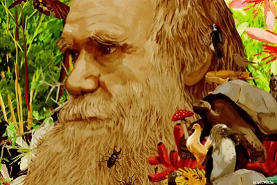 Darwin el origen de las especies