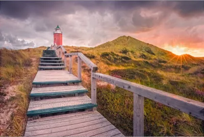 NATUREZA jigsaw puzzle