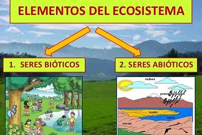 BIOLOGIA