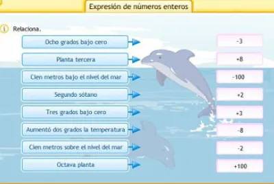 enteros