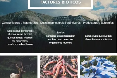 BIOTICO1