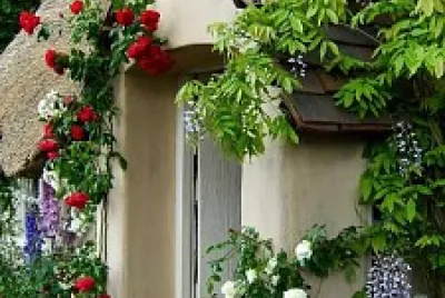 entrada