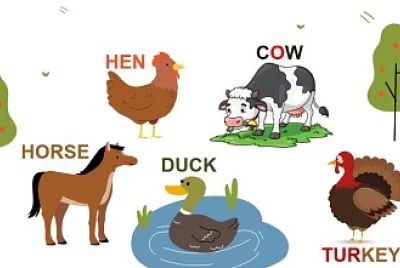 FARM ANIMALS
