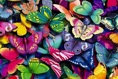 Mariposas