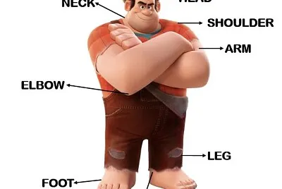 BODY PARTS
