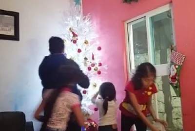 mi familia