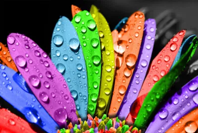 Flor jigsaw puzzle