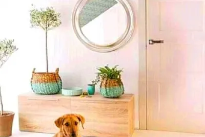 perro