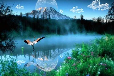 פאזל של imagem