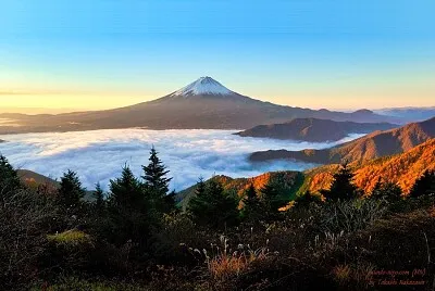 פאזל של imagem