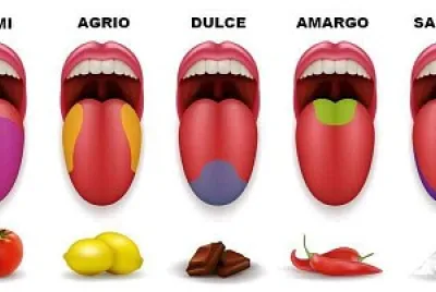EL GUSTO