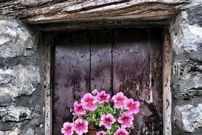 ventana