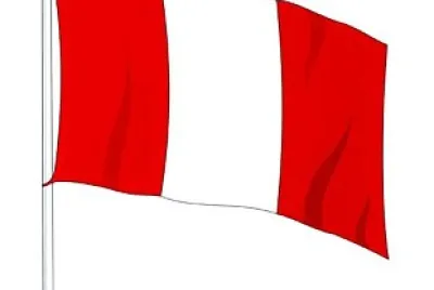 flag jigsaw puzzle