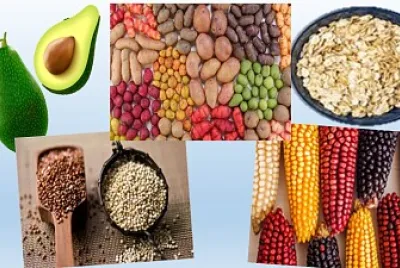 Alimentos