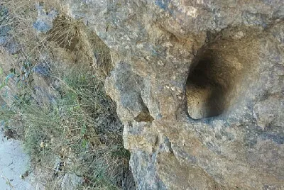 PASEOS jigsaw puzzle