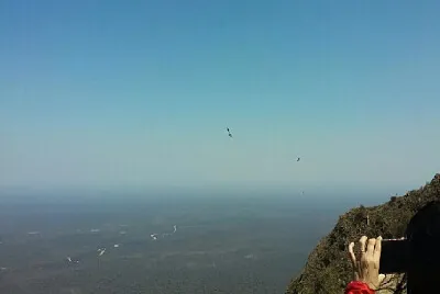 PASEOS jigsaw puzzle