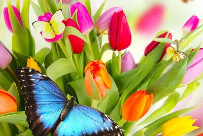 Mariposas y flores jigsaw puzzle