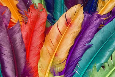 Plumas jigsaw puzzle