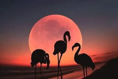 Serenidad jigsaw puzzle