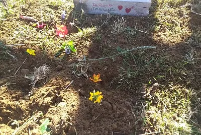 CEPELIO GATITA