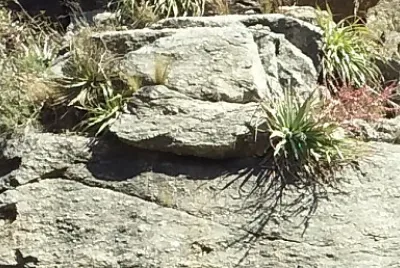 PASEOS jigsaw puzzle