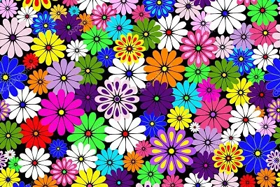 colorful flowers