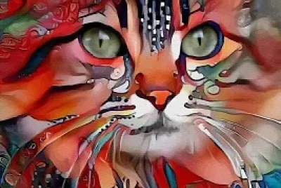 Chat roux