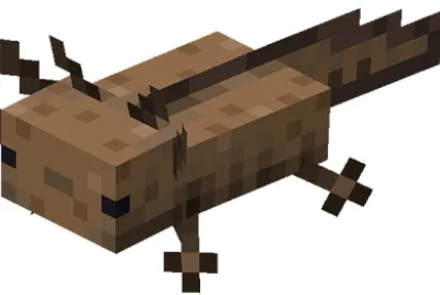 ajolote