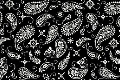 Black   White Paisley Pattern