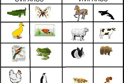 animales viviparos y oviparos