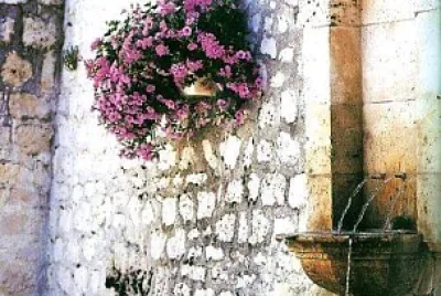 flores