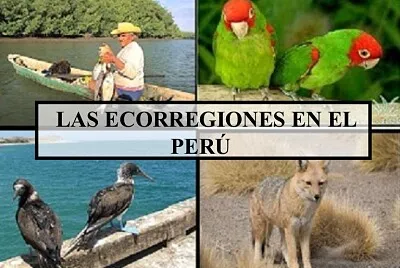 Arma el puzzle sobre las ecorregiones.