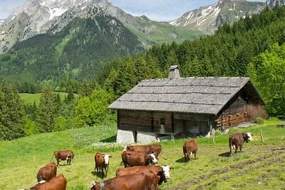 Ferme d 'alpage Savoie