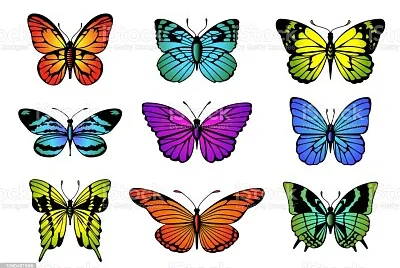 INSECTE