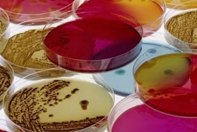 פאזל של BIOTECNOLOGIA