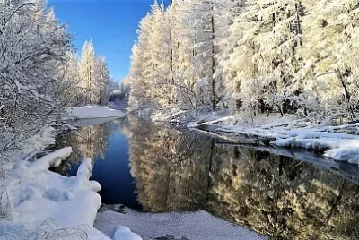 winter #255 jigsaw puzzle