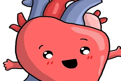 el corazón