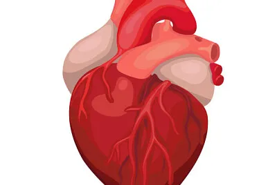 corazon