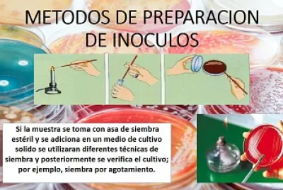 פאזל של BIOTECNOLOGIA