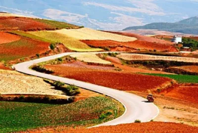 Variedad en Parcelas