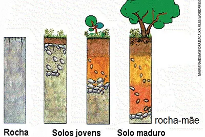 Formação do solo